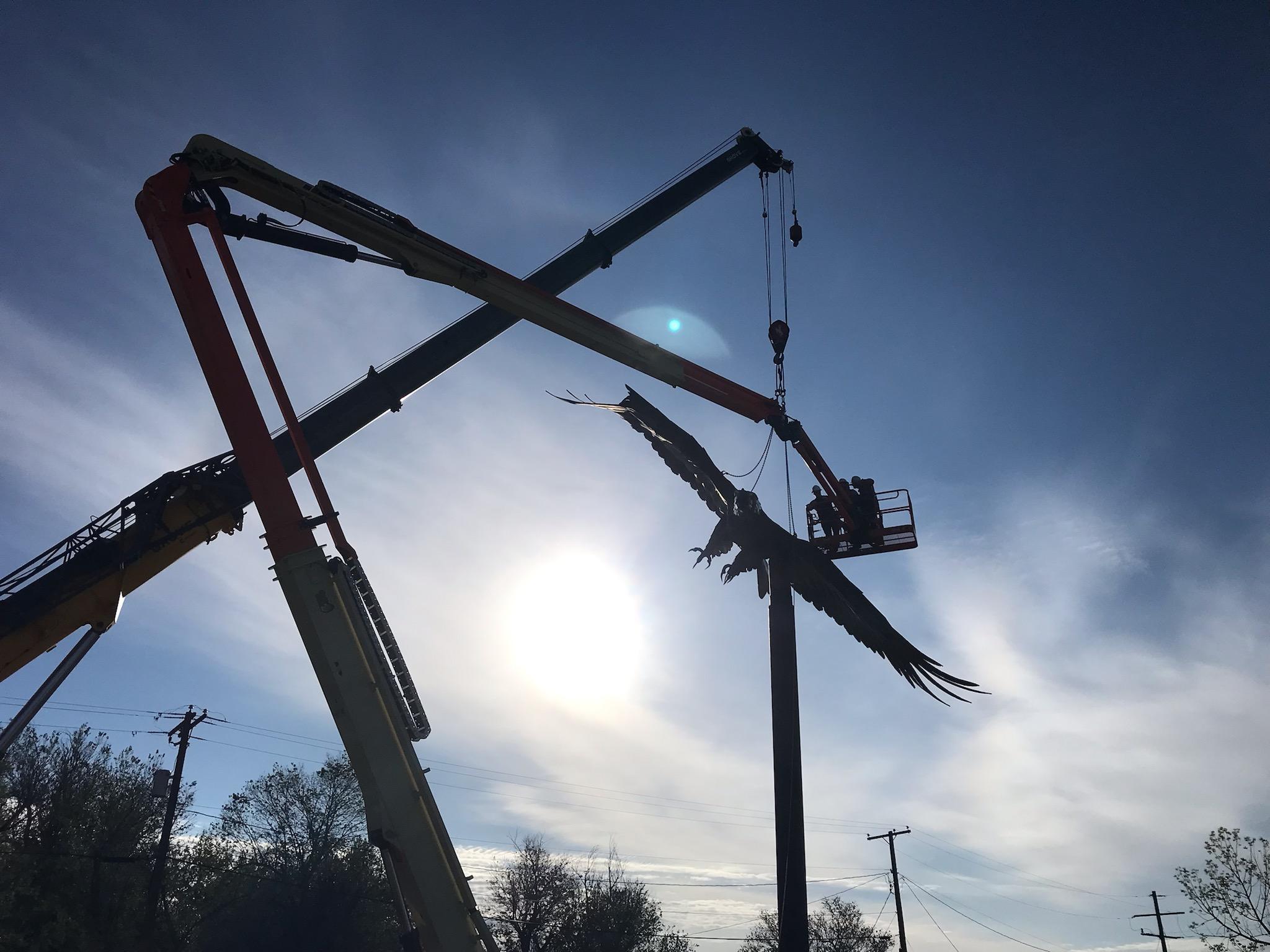Mills Eagle Repair